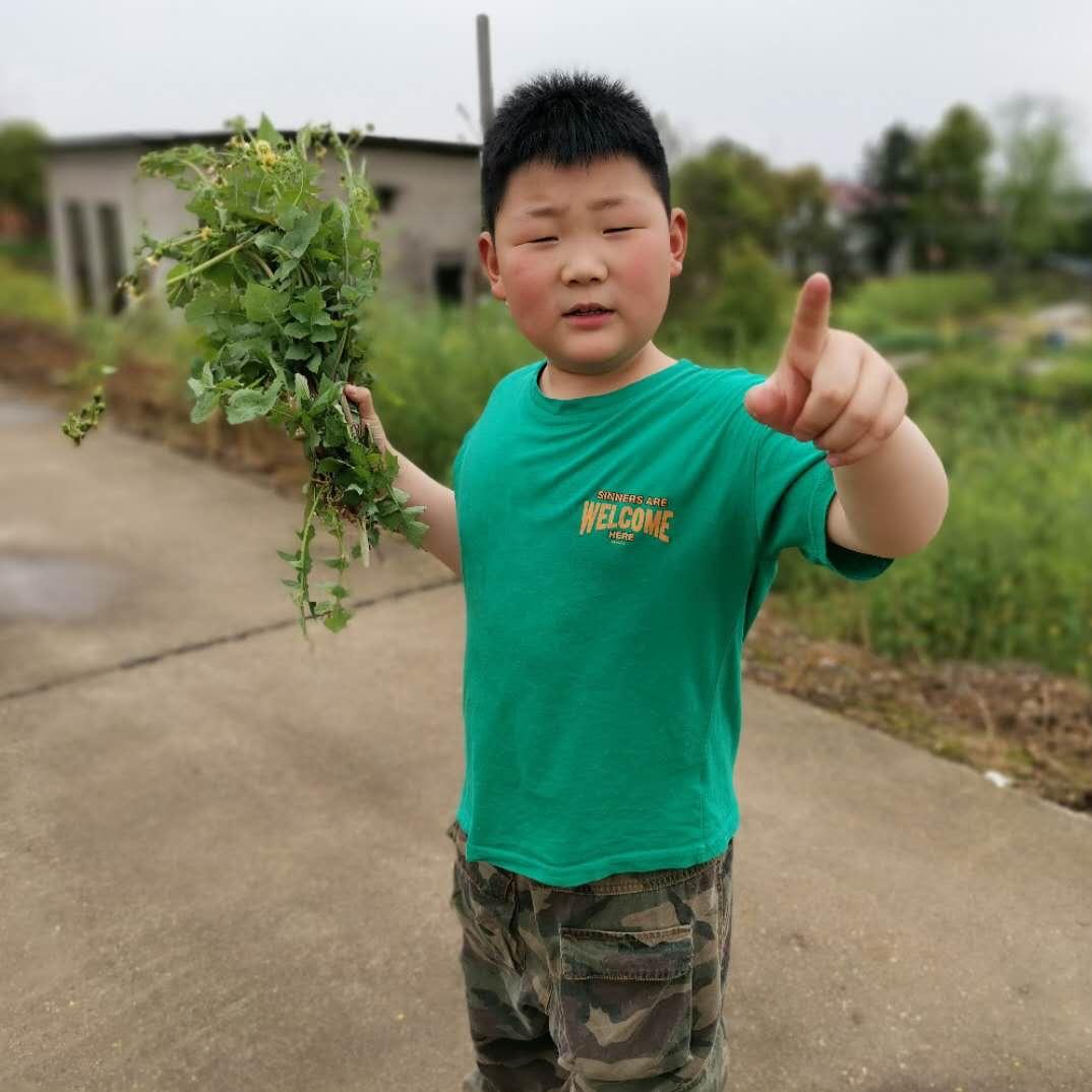 陈晨