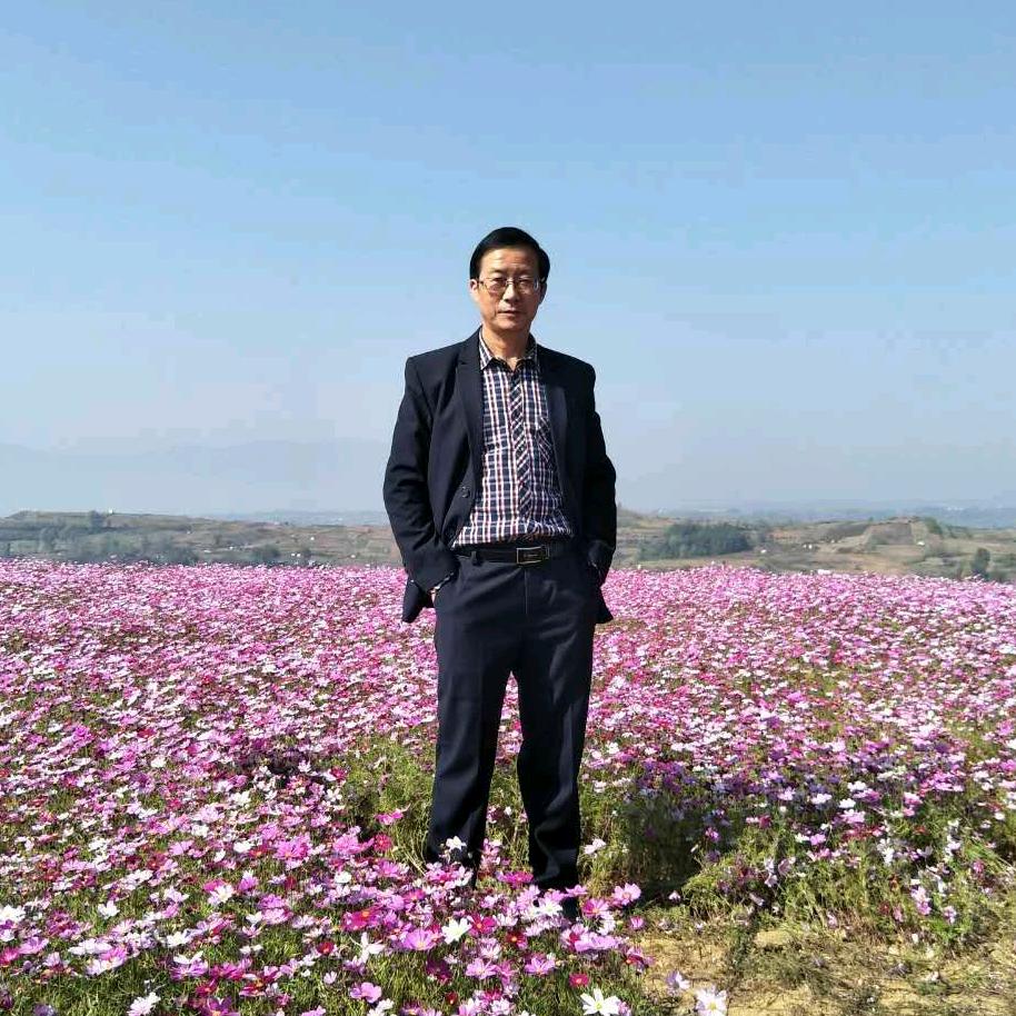 龙少