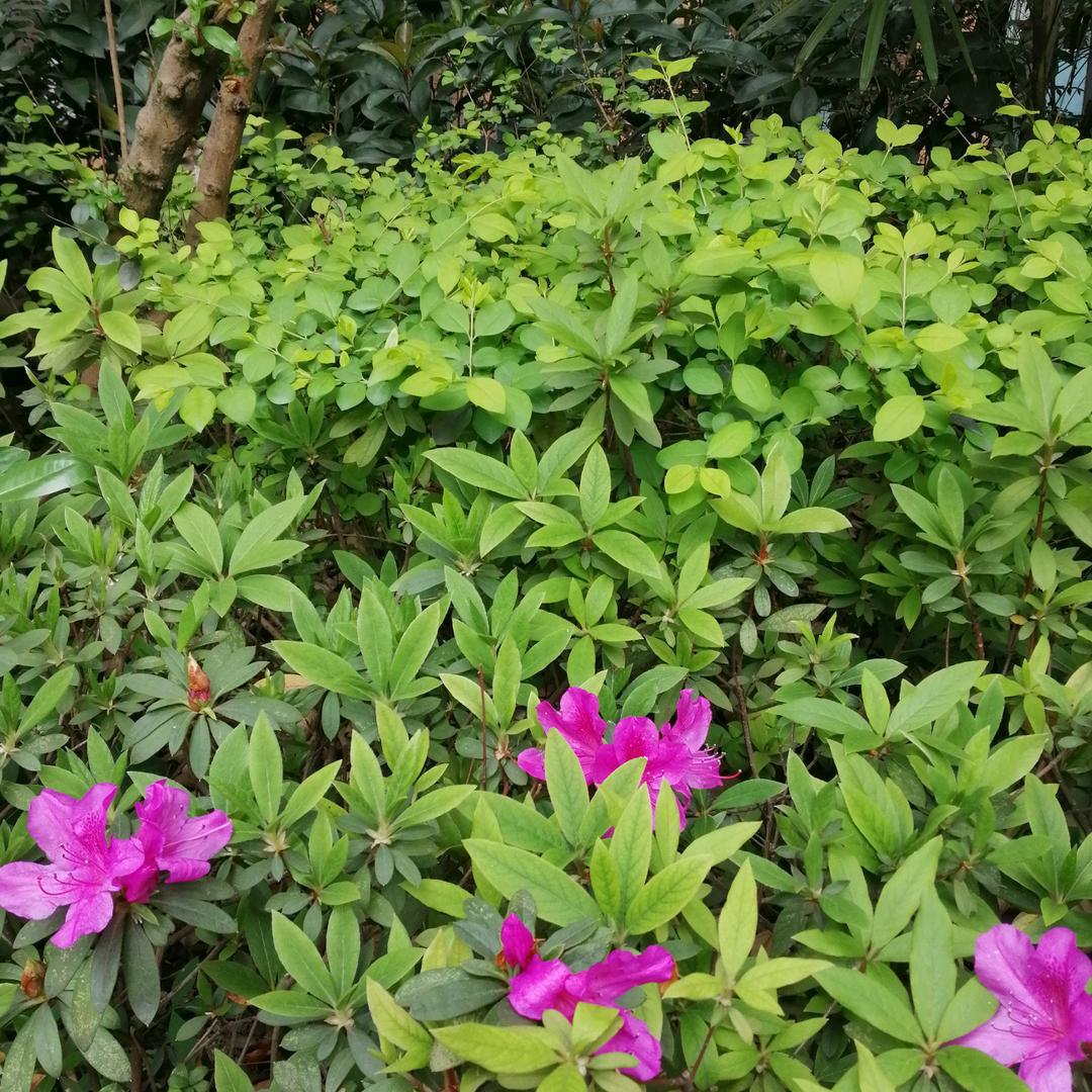 用户   玉     儿