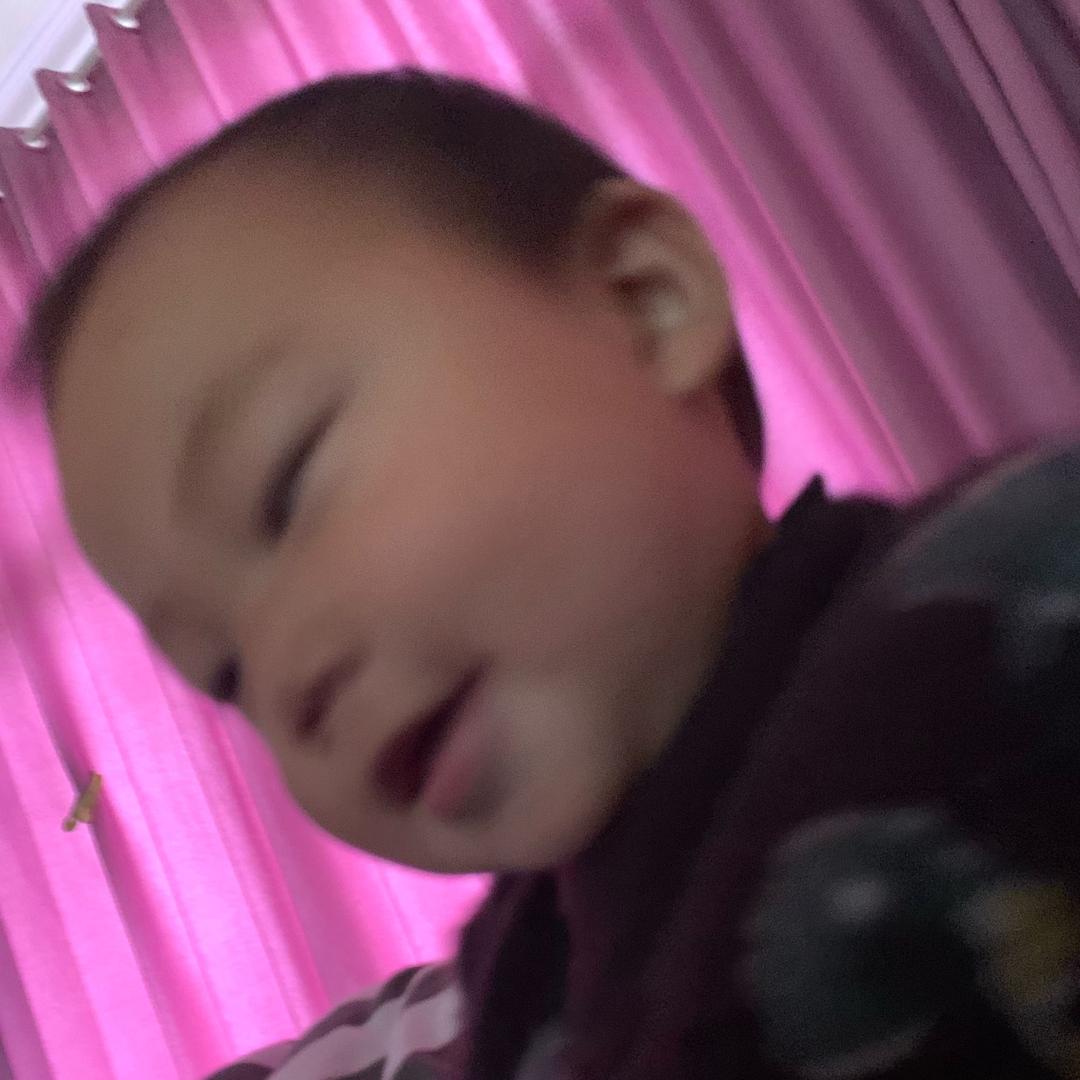家有四宝