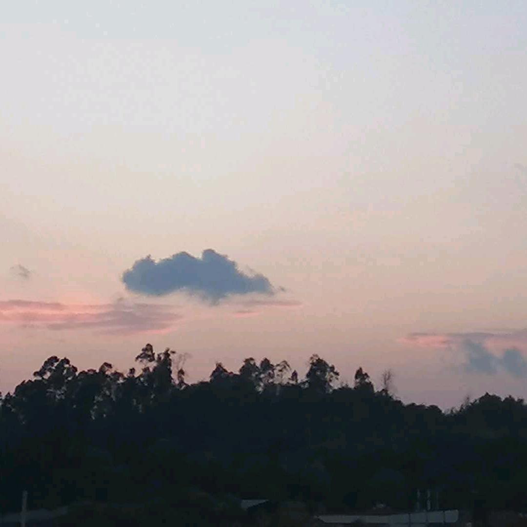 茜