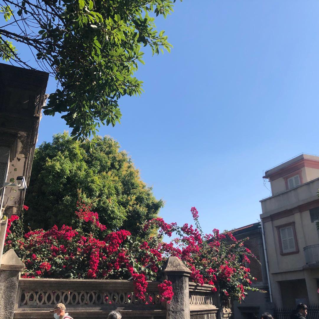 青青草