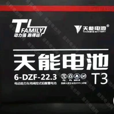 批发电动车，电动车电池