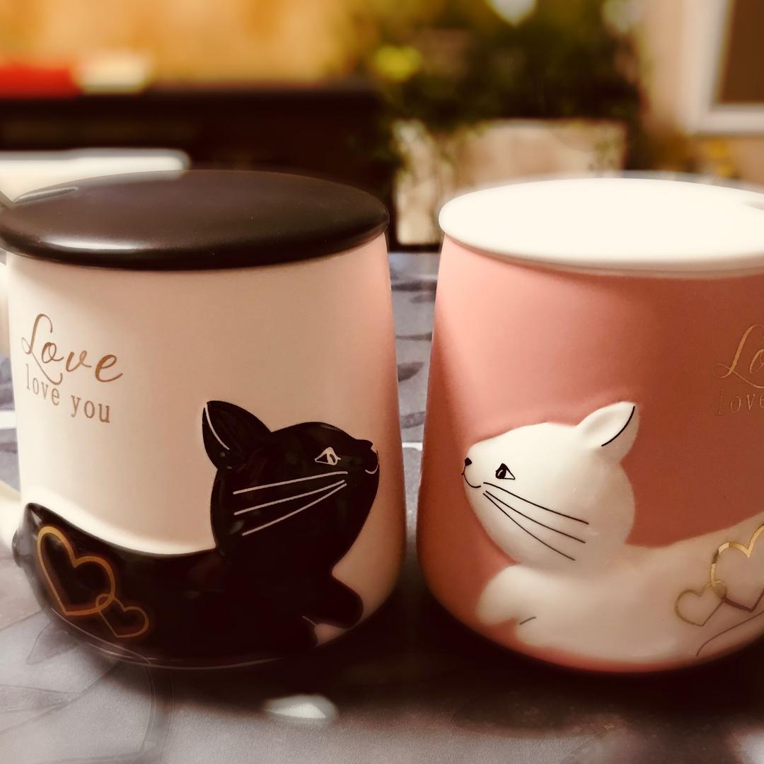 唔🏠有🐱初长成