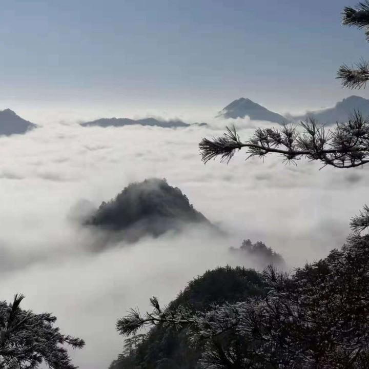遇见醉美风景