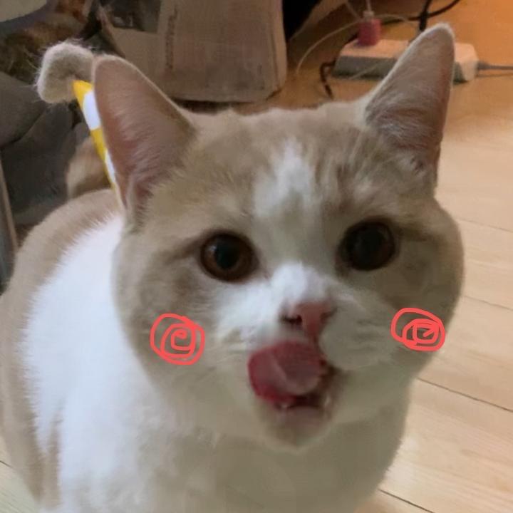 咕社长