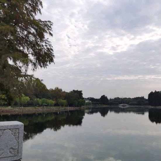 尘封记忆