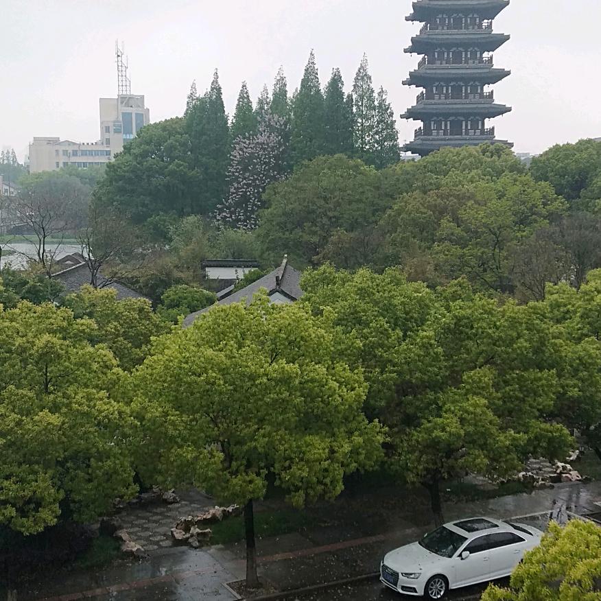 淡然若水