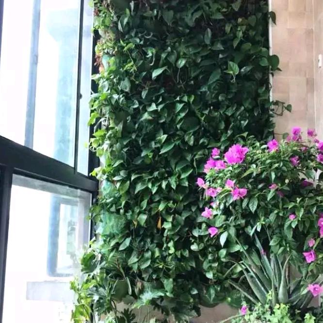 喜欢跳舞杨姐
