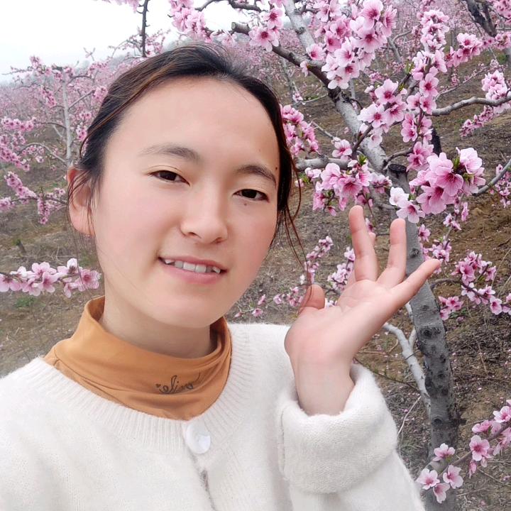 @园园