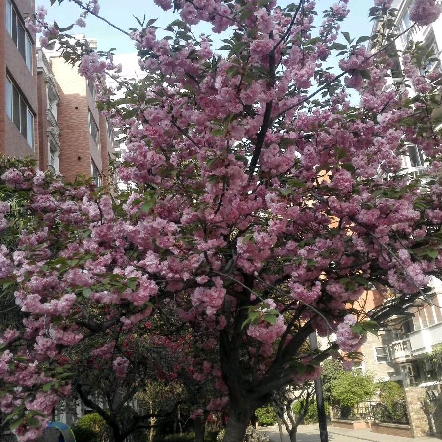 冰山一角