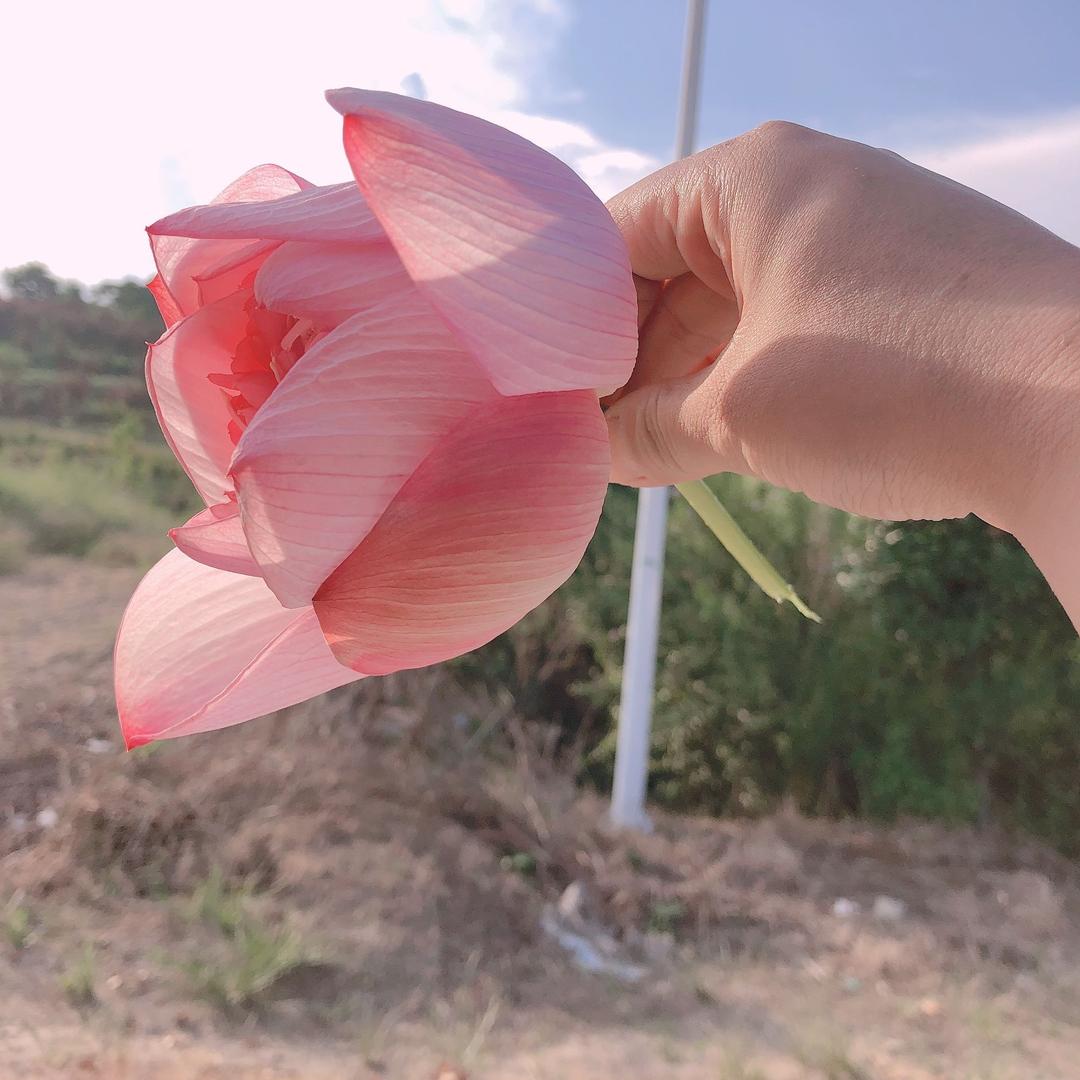 友琳际兰