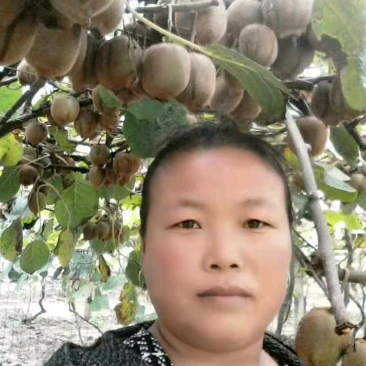 晨星（拒私聊）