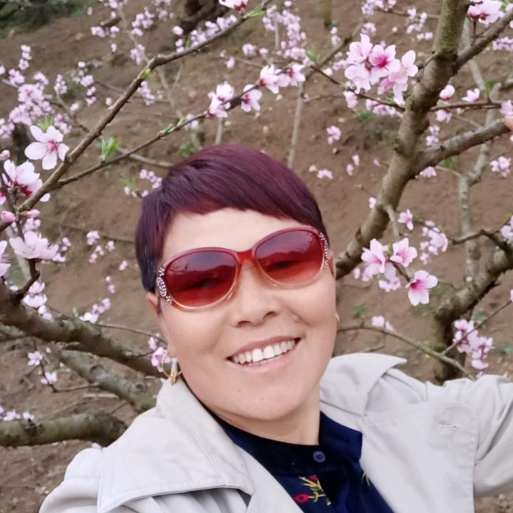 木子姐