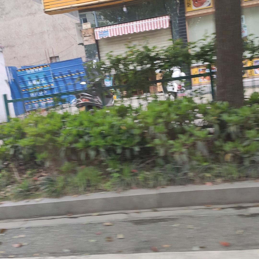忠哥