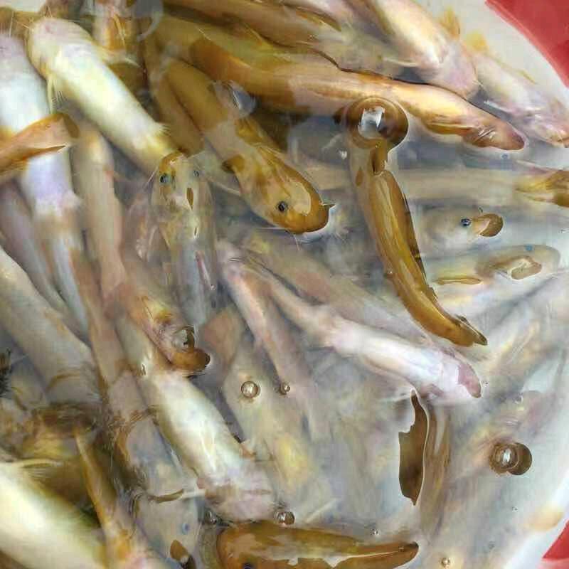 货运小王