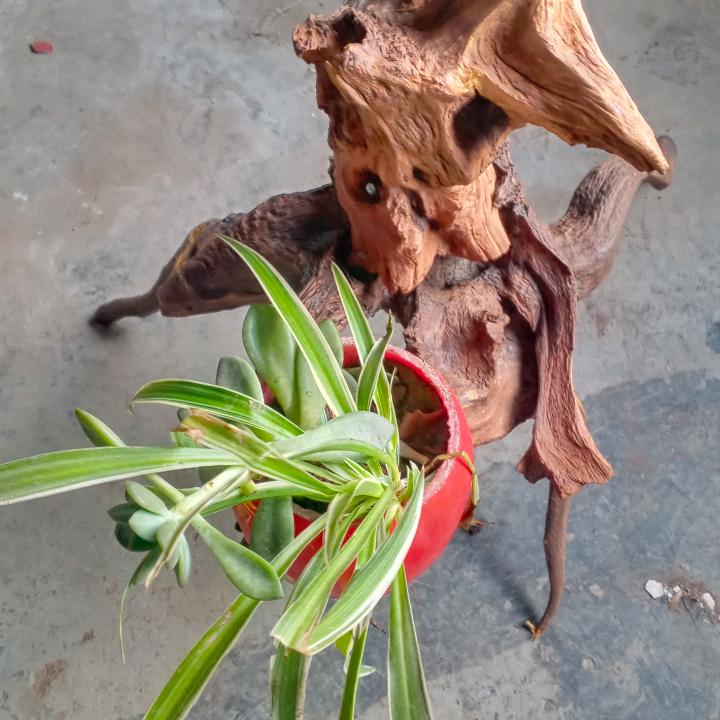 忘掉一切，顺其自然吧1361720224