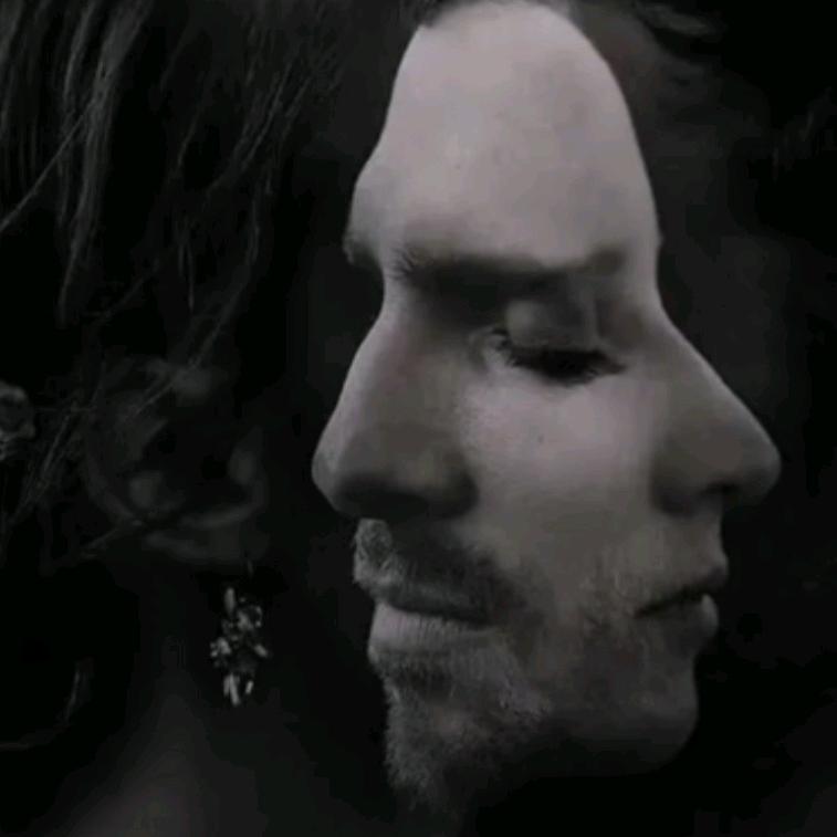 向来缘浅 奈何情深