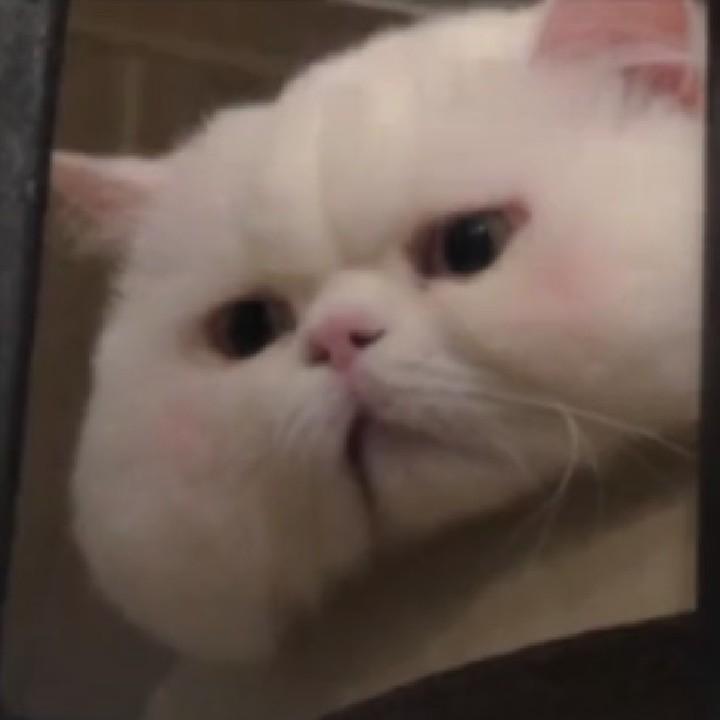 尖锐性.（见过十个勤天版）