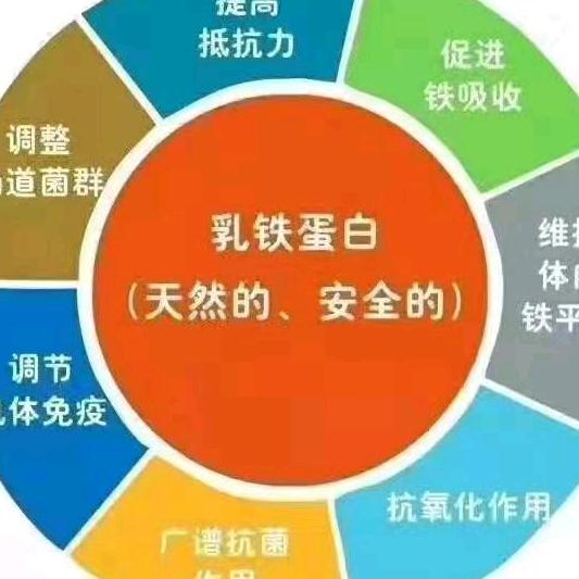 大寨名牌奶粉城