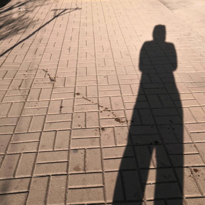 淑芬(淑女芬芳夺目)