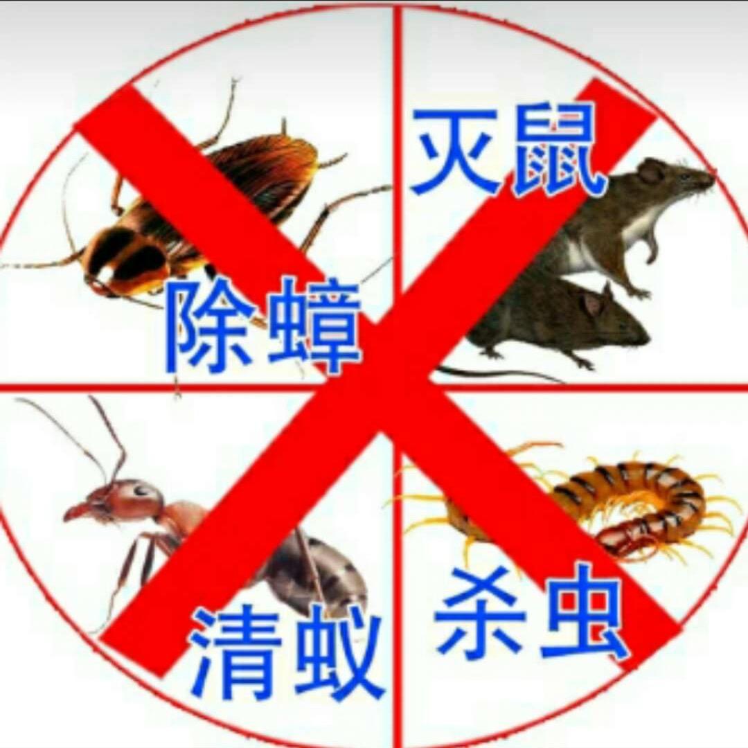 海灭士