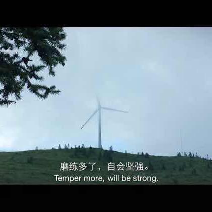 燕子毛