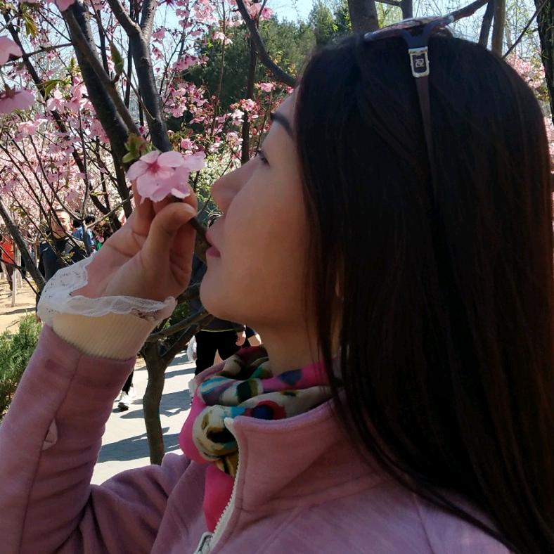 (特百惠李萍）忘忧草
