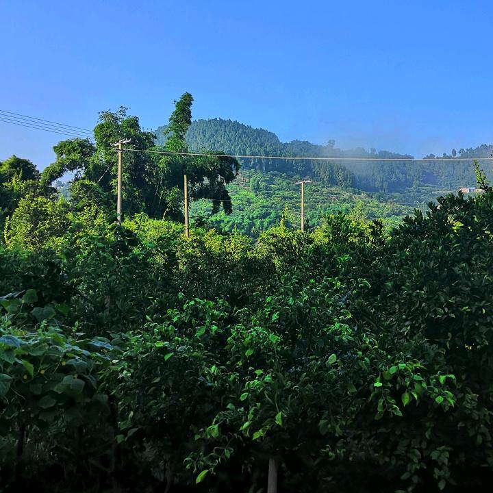 潇湘韵慧