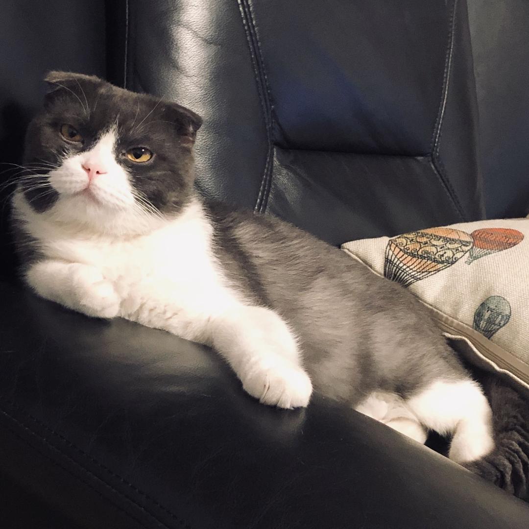 不会钓鱼的剪辑师🐷