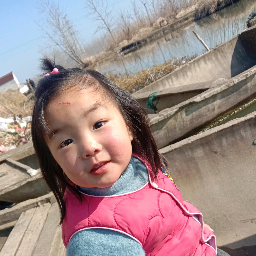 陈晓晓