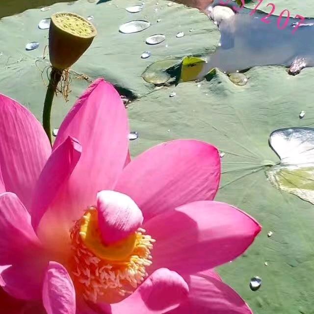 诠释生活每一天