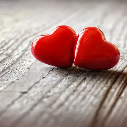 @刘家二小姐💋