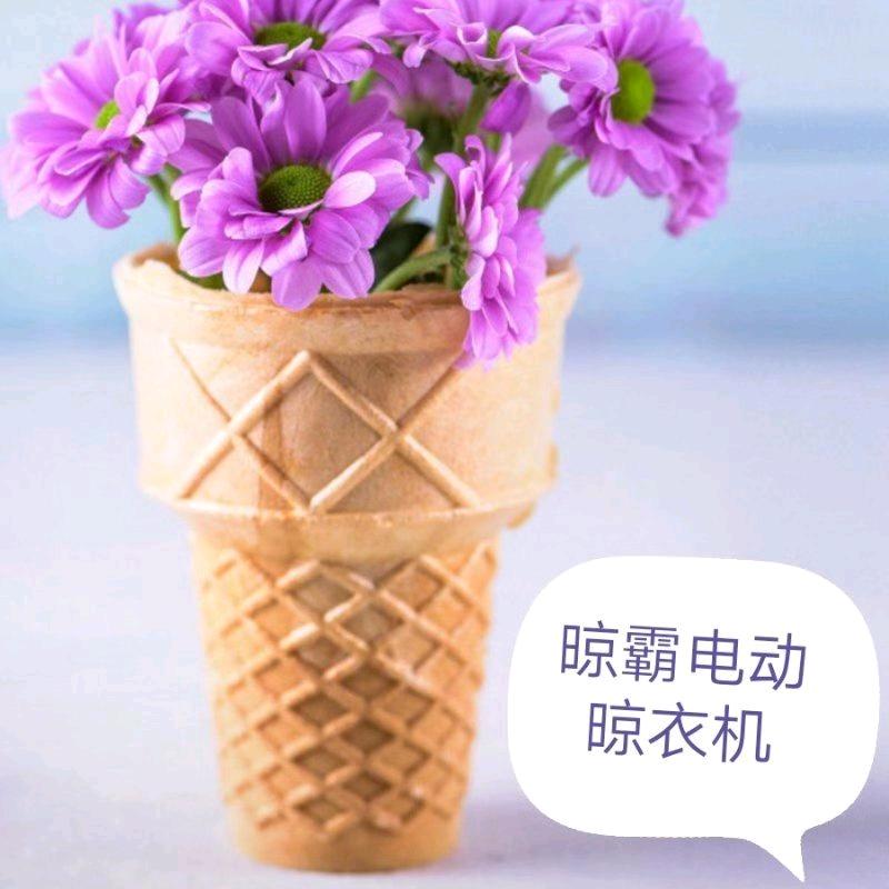 陆美 好