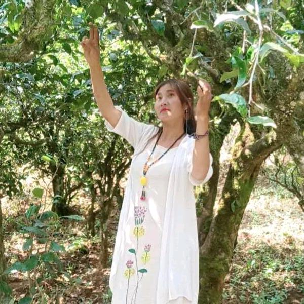 云南，香姐，茶妹