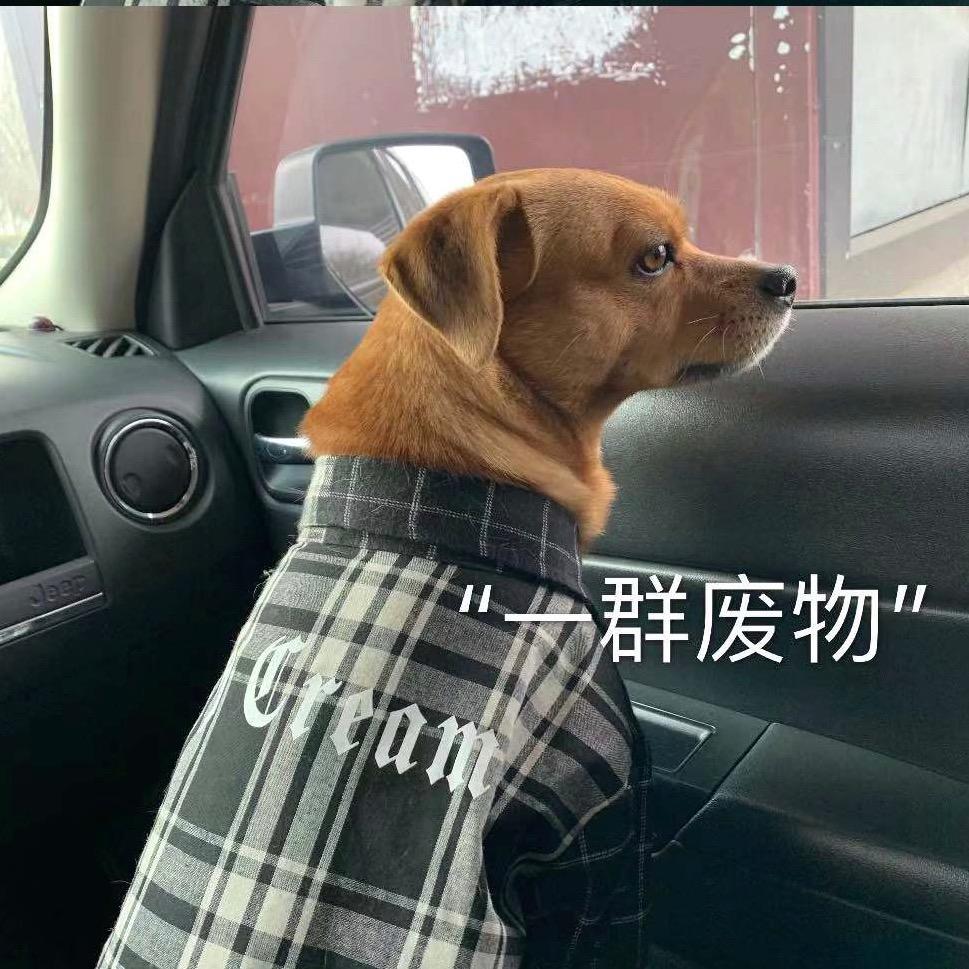 可乐不渴🧐