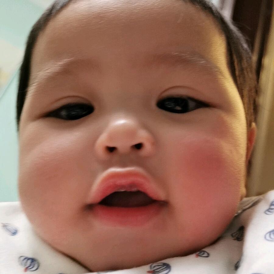 碳烤小肥杨🤪