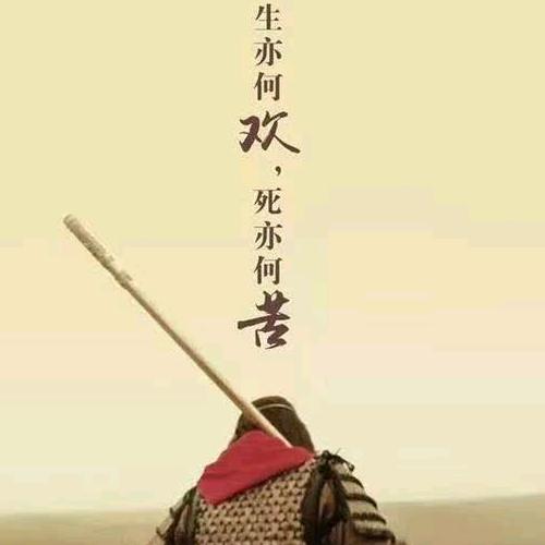 @王先森🇨🇳