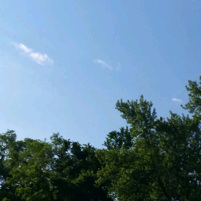sunshine的阳光朱秀园