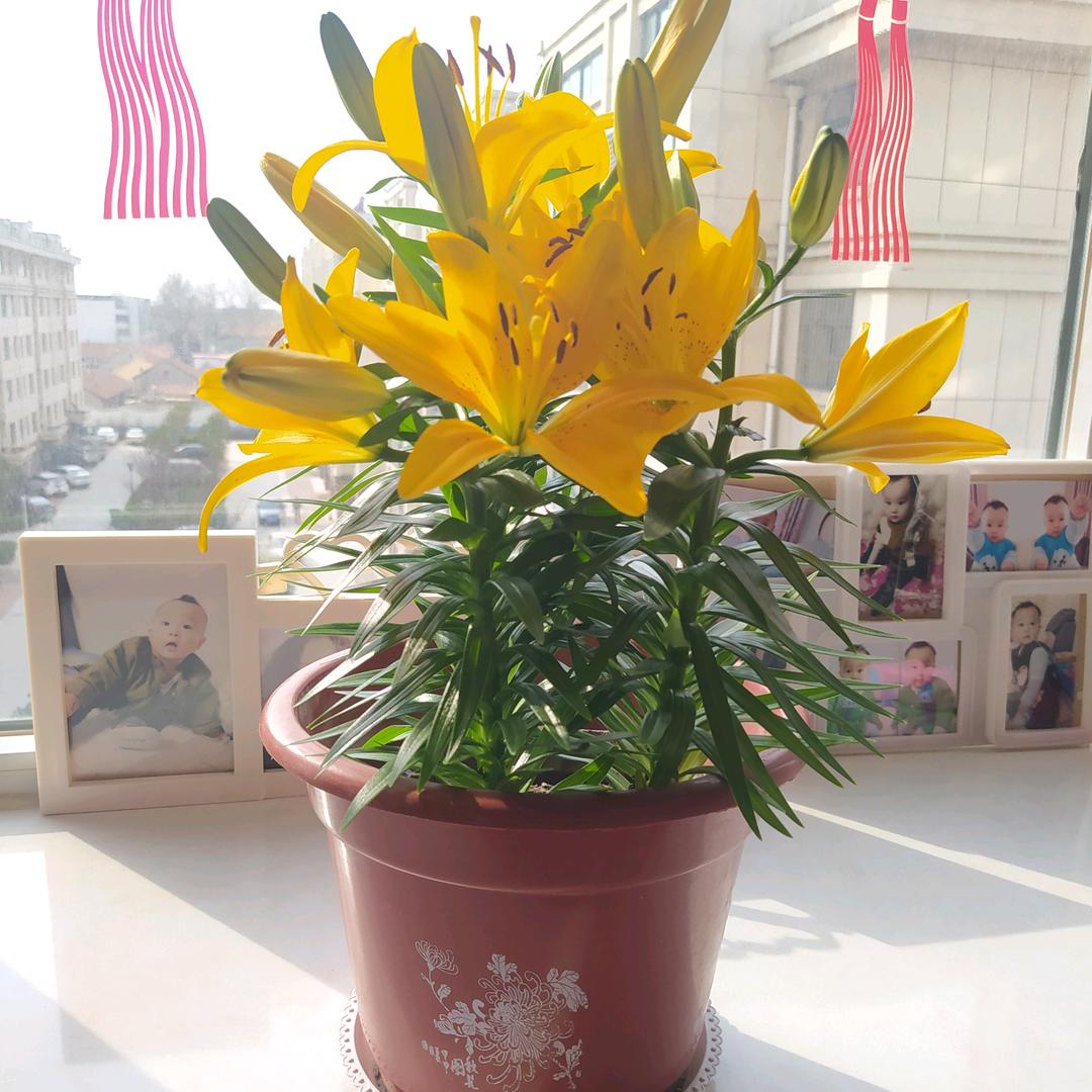 ^O^完美演绎