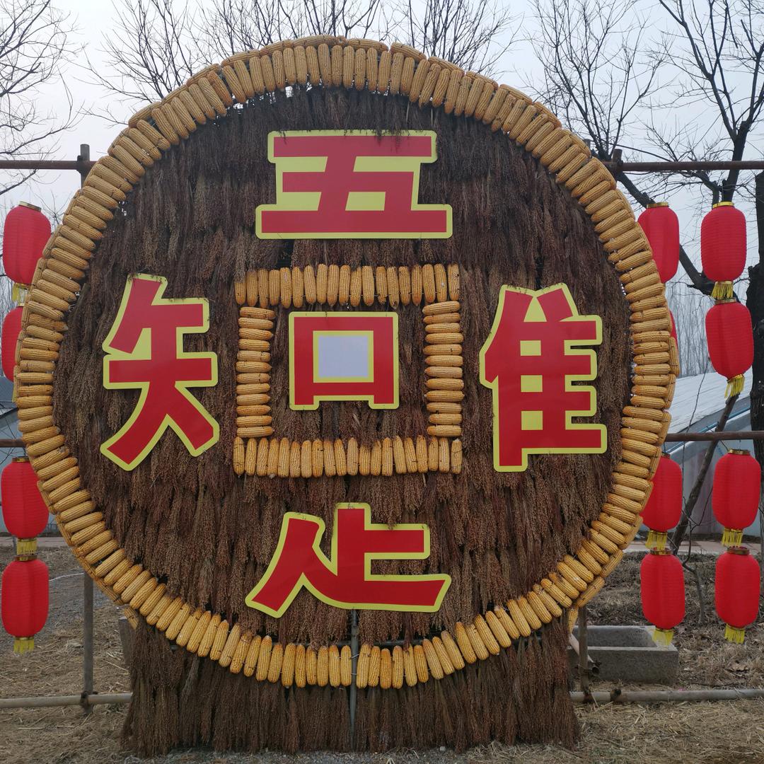 风光无限好