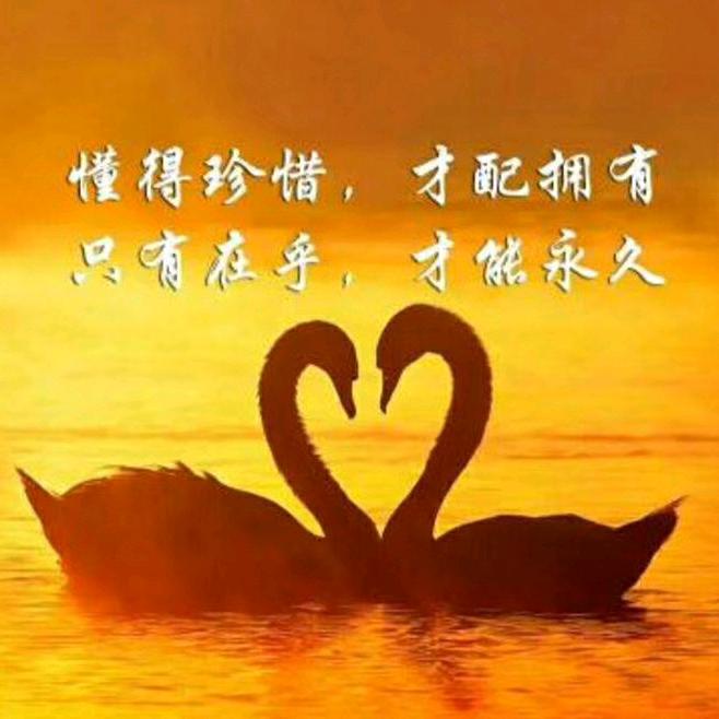 愛到最后開了槍