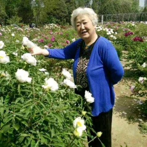 周大姐
