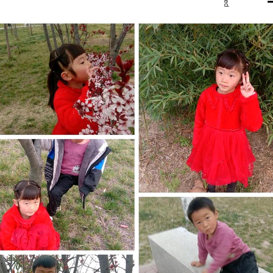 游…会