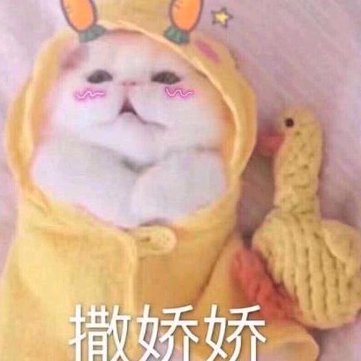 听天由命一切隨缘