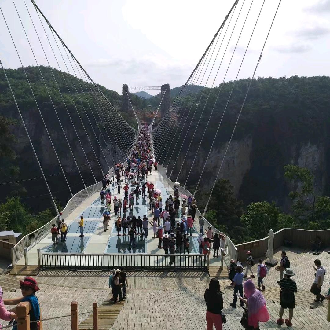 红桧树神yuebo