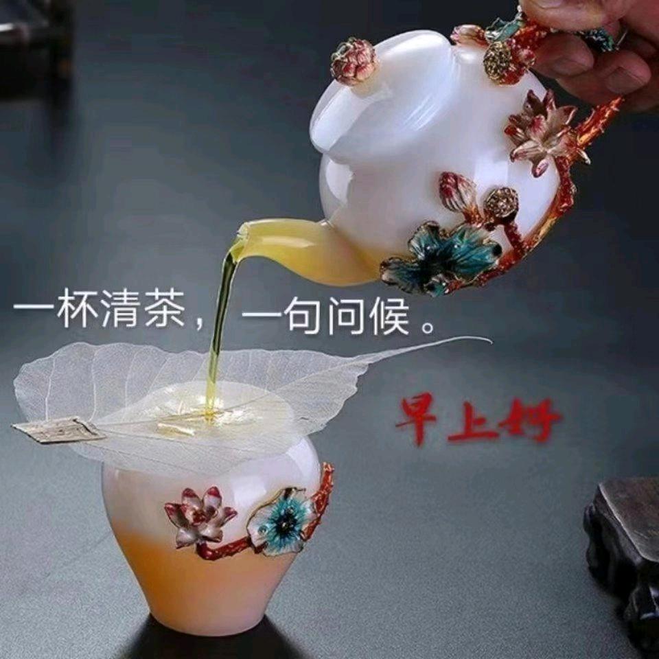 知己