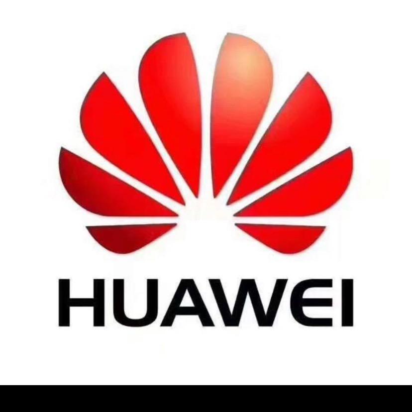会飞的鱼