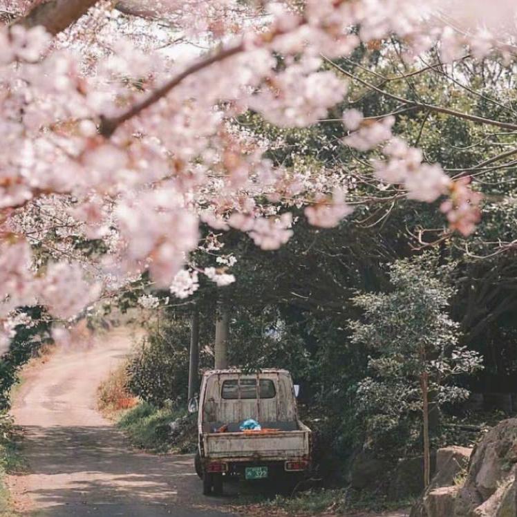 哈哈大王万岁万岁万万岁👑