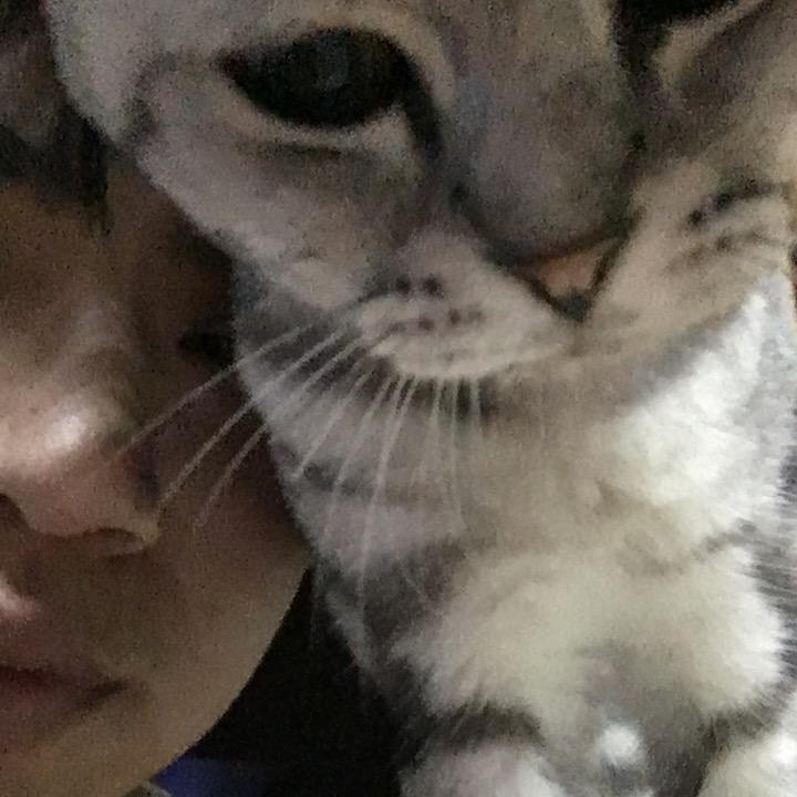 大可